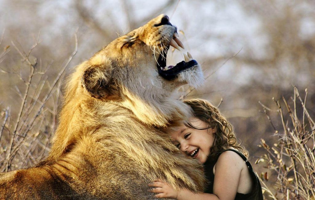 Abrazo de amor entre leona y niña